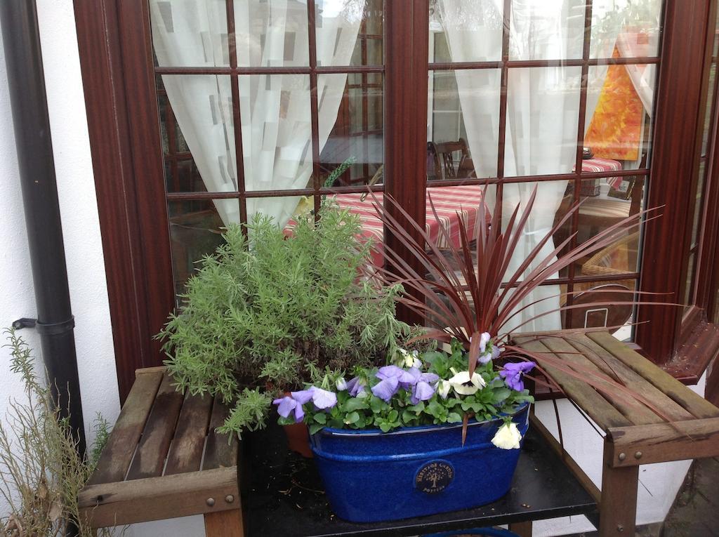 The Laurels Bed And Breakfast Cardiff Exteriör bild