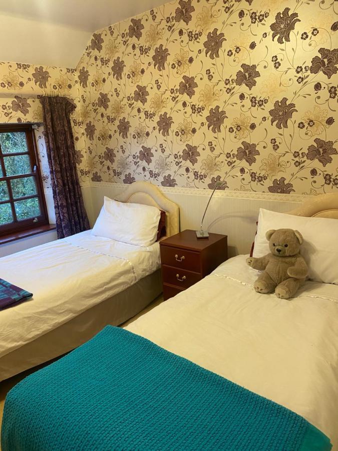 The Laurels Bed And Breakfast Cardiff Exteriör bild